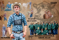 Show Team collage - Elijah