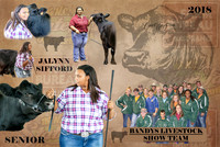 Show Team collage - Jalynn