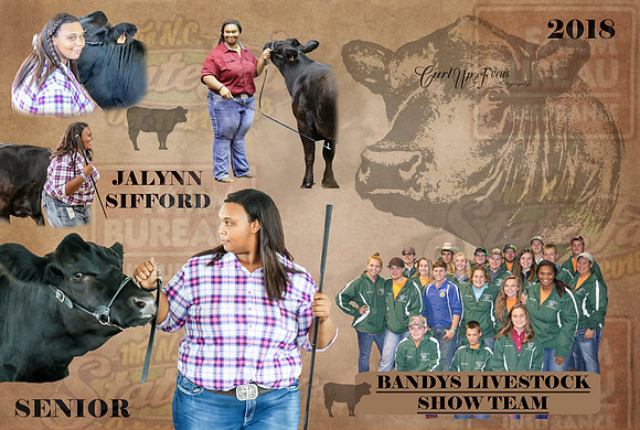 Show Team collage - Jalynn